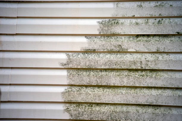 Affordable siding repair and maintenance services in Brielle, NJ