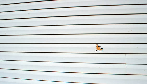Best Composite Siding  in Brielle, NJ