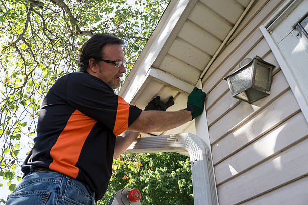 Affordable siding repair and maintenance services in Brielle, NJ